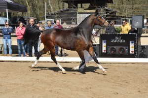 DSC_9238 lieve 4 vk