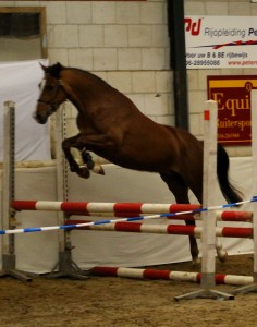 Westerveld's Amelie Vrijspringen 1